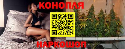 PSILOCYBIN Заводоуковск