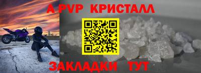 PSILOCYBIN Заводоуковск