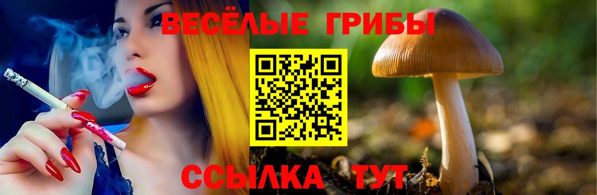Галлюциногенные грибы MAGIC MUSHROOMS Кумертау